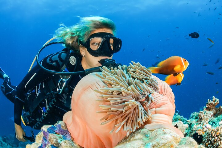 Explore the underwater wonders of Dubai where colorful marine life and stunning coral gardens await complemented by professional photography to capture your unforgettable memories.
